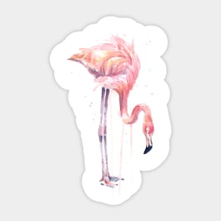 Flamingo Painting Watercolor Sticker